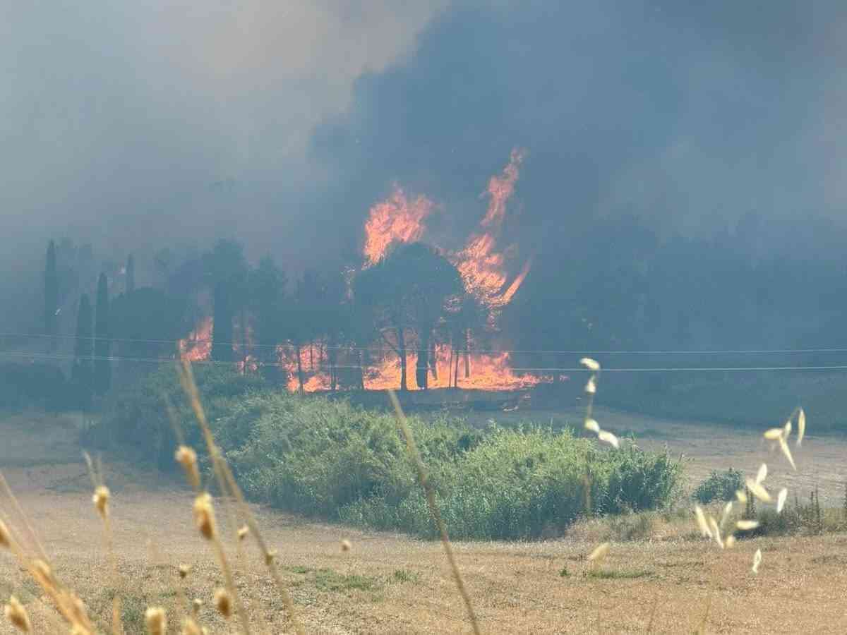 Immagine articolo: Incendio nel bosco di Monte Arancio a Sambuca, sul posto le squadre antincendio