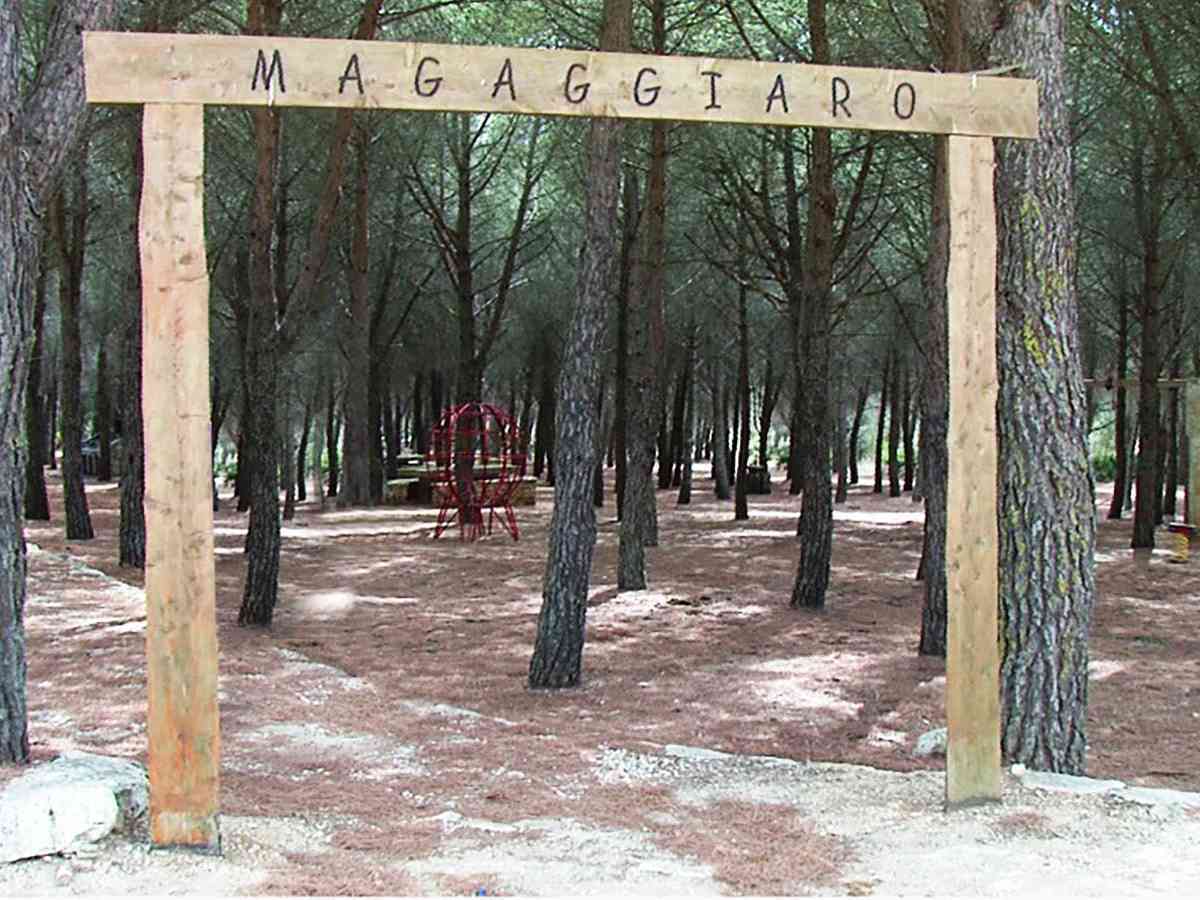 Immagine articolo: Menfi, in arrivo 670 mila euro per la tutela e la valorizzazione del patrimonio boschivo
