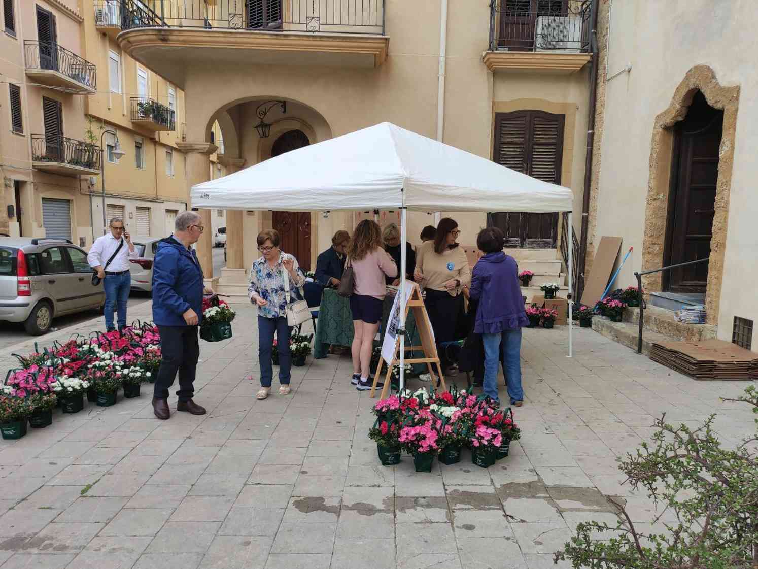 Immagine articolo: L'Azalea della Ricerca AIRC torna domenica a Menfi per la Festa della Mamma