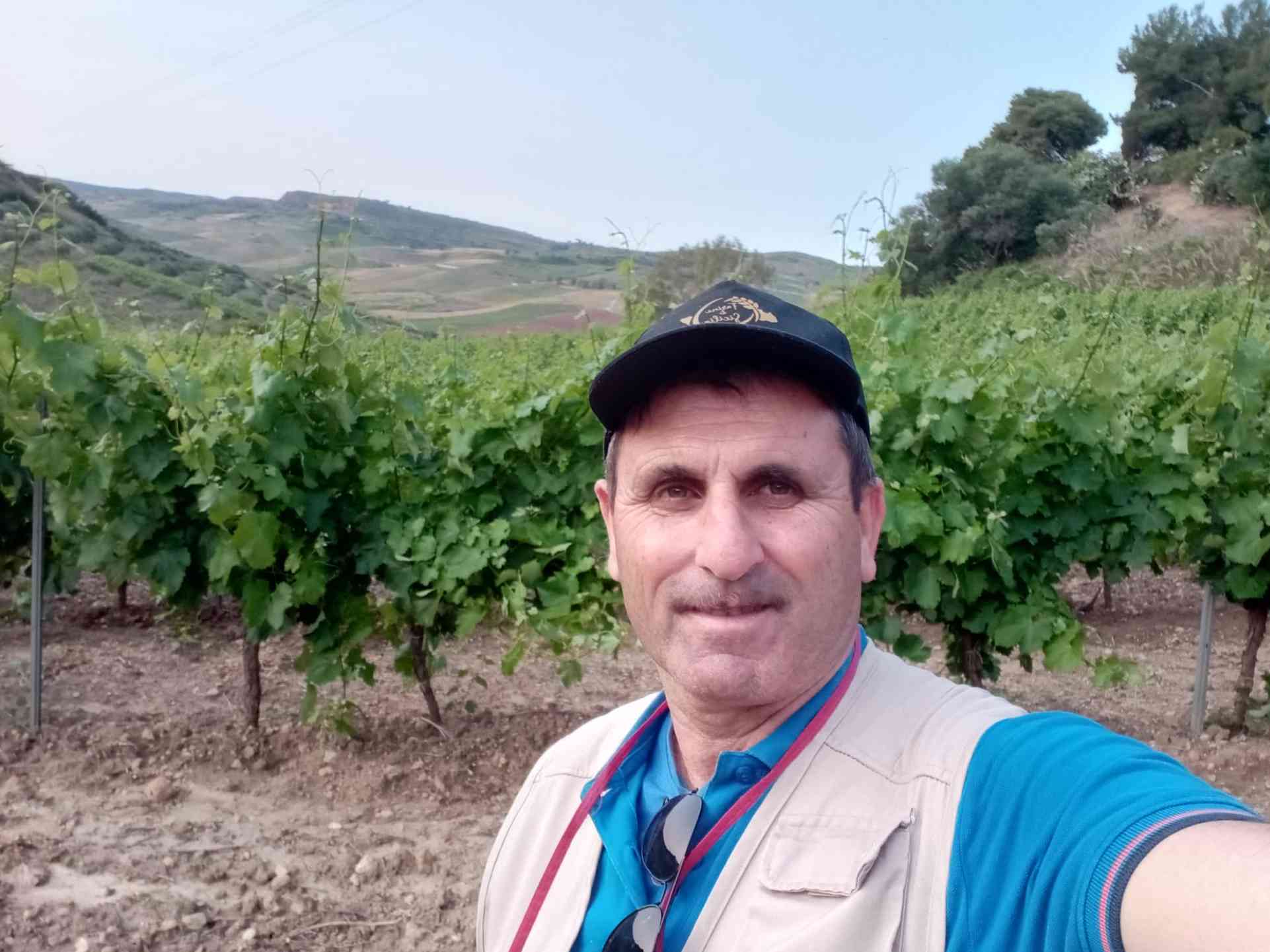 Immagine articolo: Vini, la Cassazione chiude la disputa sul nome Salaparuta: confermata la legittimità della DOP