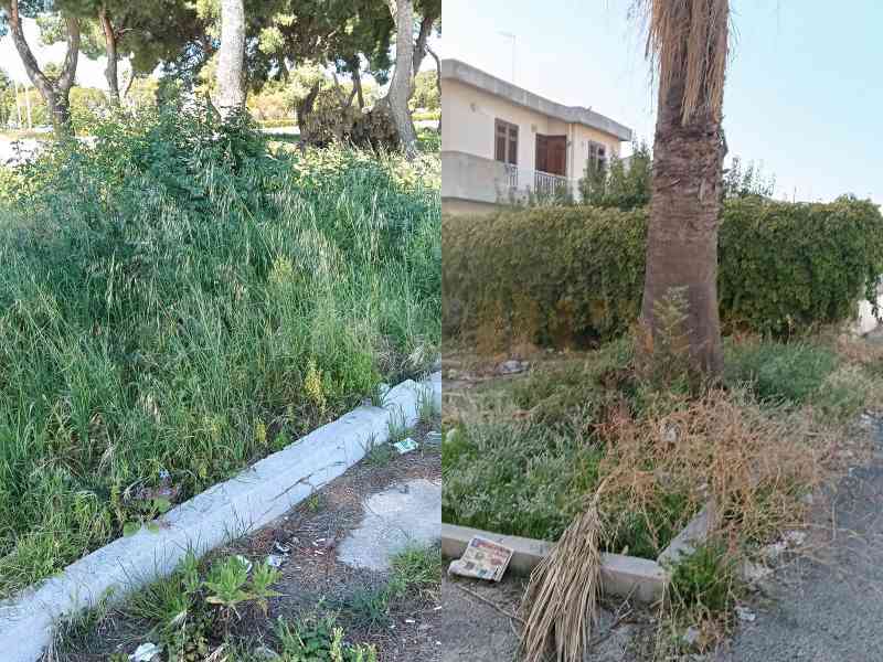 Immagine articolo: Menfi, “Erba alta e parassiti“, “Verso Menfi“ chiede all'amministrazione interventi per il decoro e l'igiene urbana