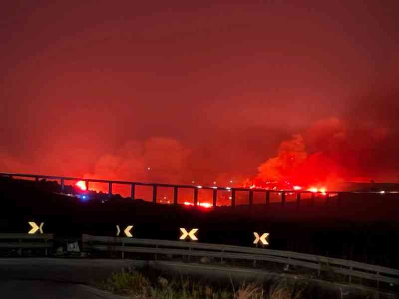 Immagine articolo: Vasto incendio sotto il viadotto Belice. Bruciano ettari di terreno