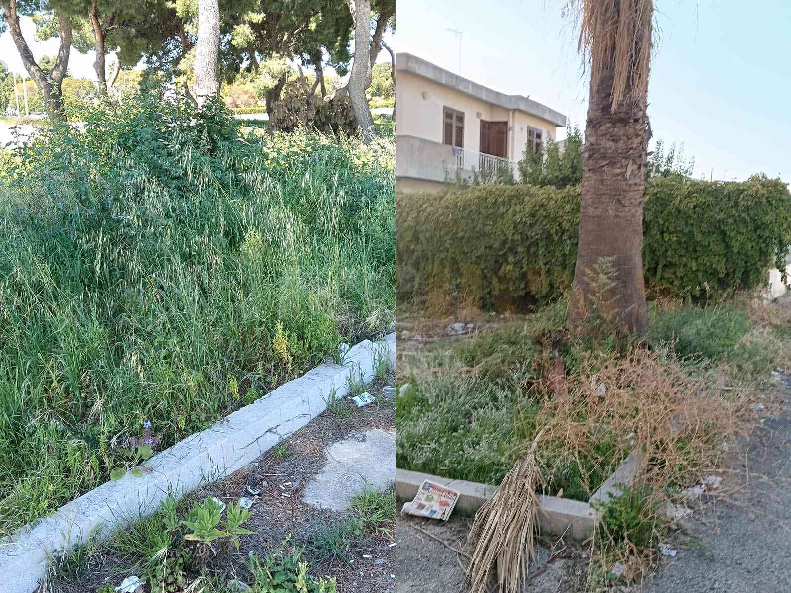 Immagine articolo: Menfi, “Erba alta e parassiti“, “Verso Menfi“ chiede all'amministrazione interventi per il decoro e l'igiene urbana